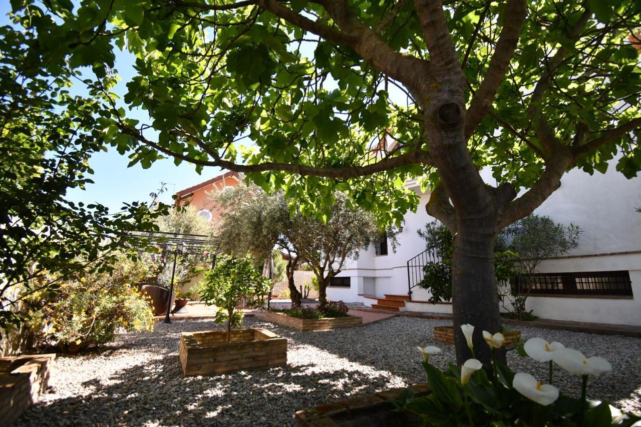 Villa Maria, Piscina Y Spa Exterior Privado Belicena Exterior photo